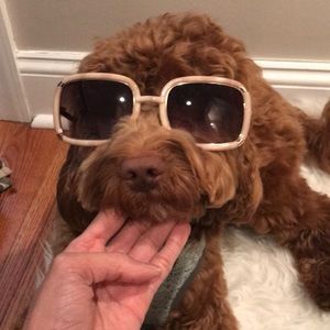 Kate Spage sunglasses